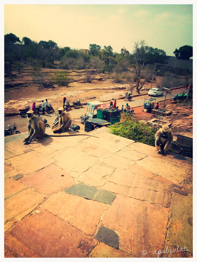 Photo of Chittorgarh- A Destroyed Beauty 12/14 by Vipul Gulati