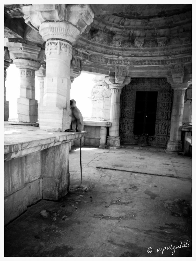 Photo of Chittorgarh- A Destroyed Beauty 8/14 by Vipul Gulati