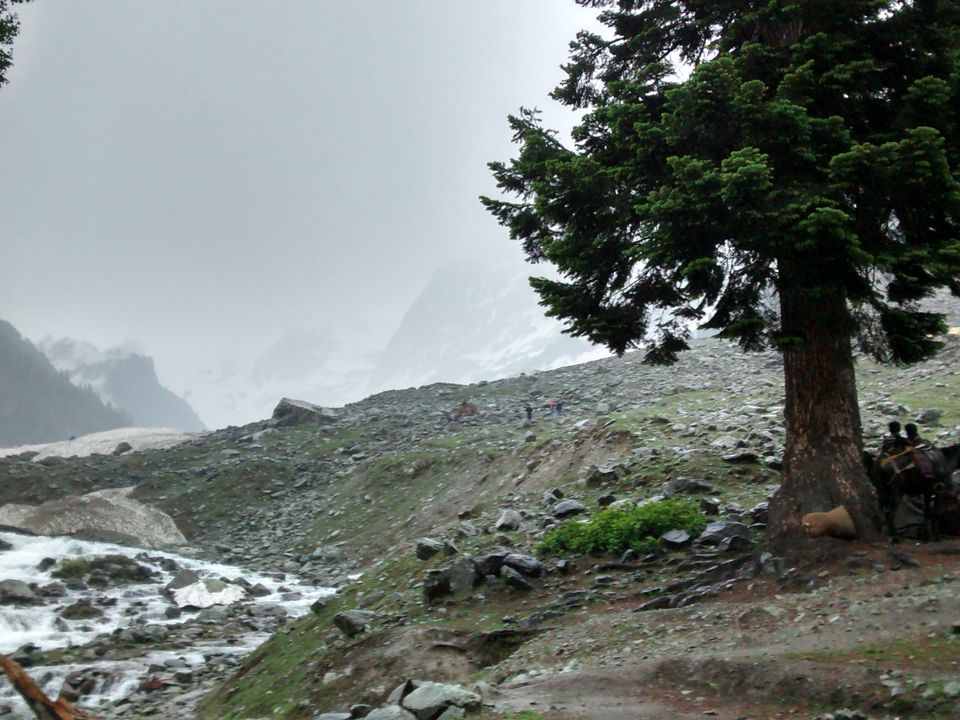 Photo of Trip to Kashmir by Archana Mattoo