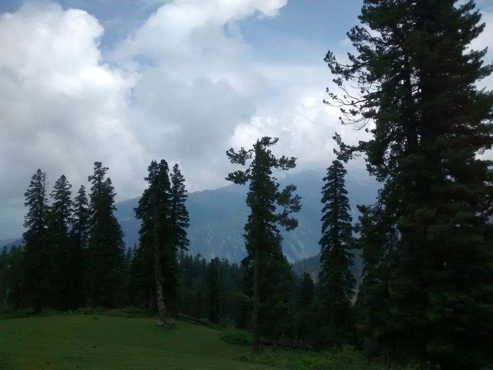 Photo of Trip to Kashmir by Archana Mattoo