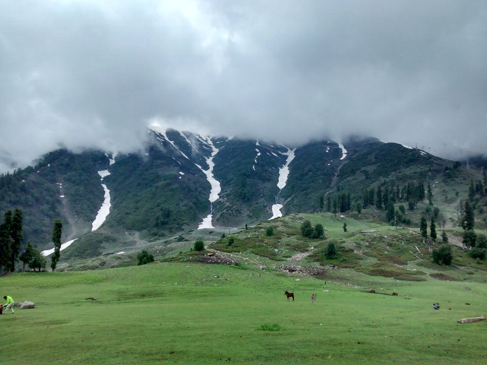 Photo of Trip to Kashmir by Archana Mattoo
