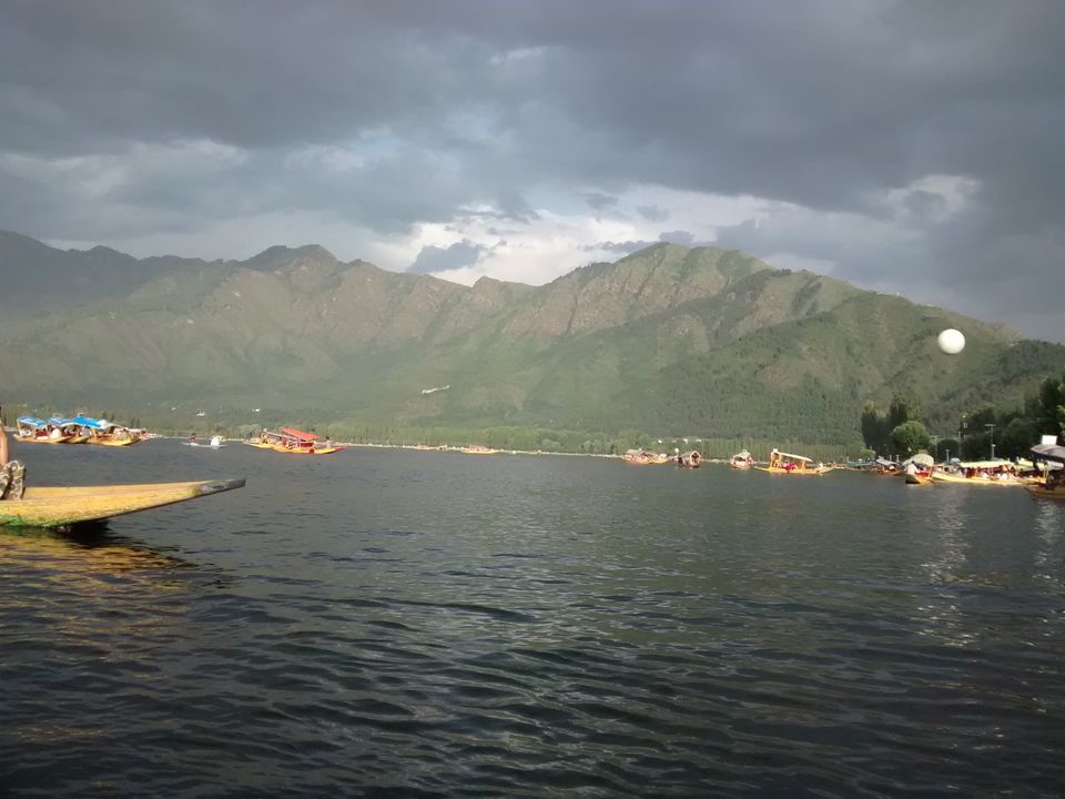 Photo of Trip to Kashmir by Archana Mattoo