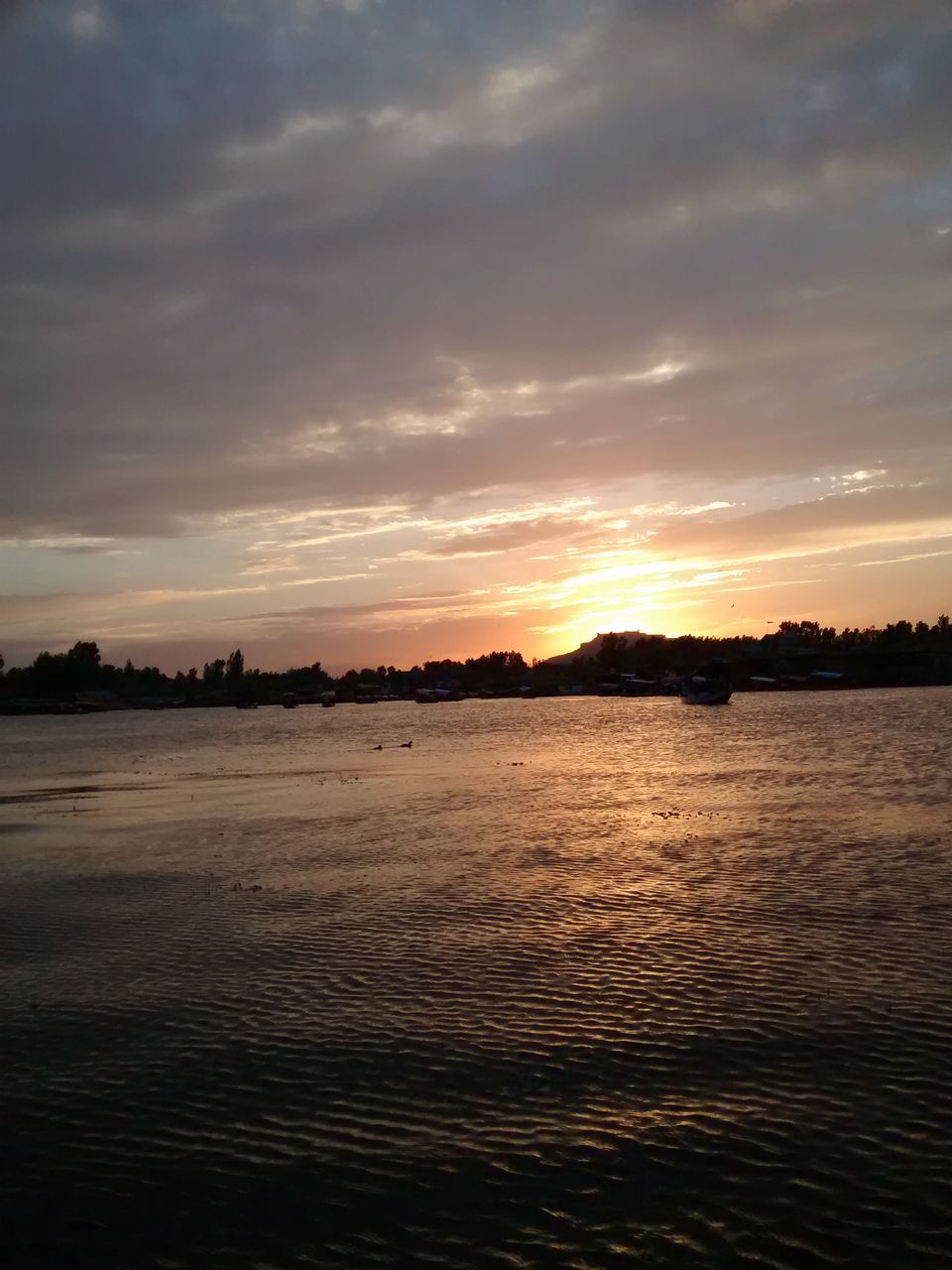 Photo of Trip to Kashmir by Archana Mattoo