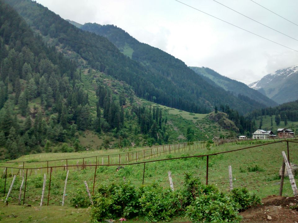 Photo of Trip to Kashmir by Archana Mattoo