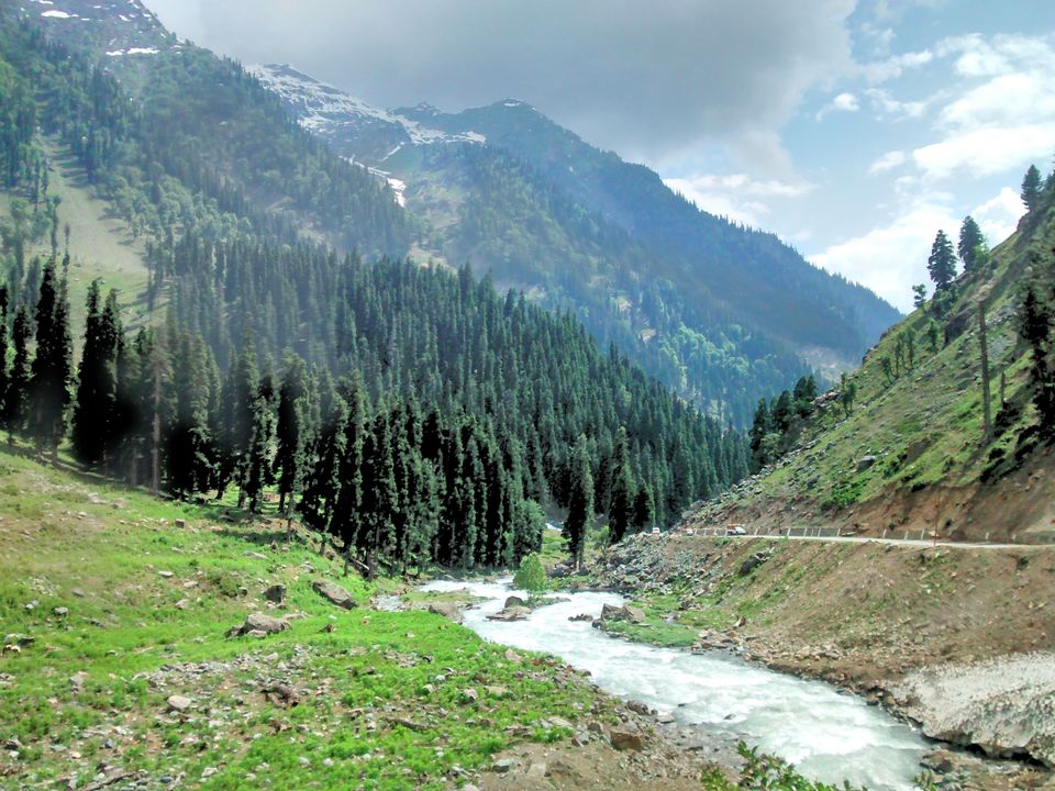 Photo of Trip to Kashmir by Archana Mattoo