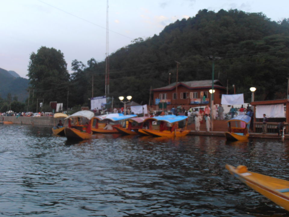Photo of Trip to Kashmir by Archana Mattoo