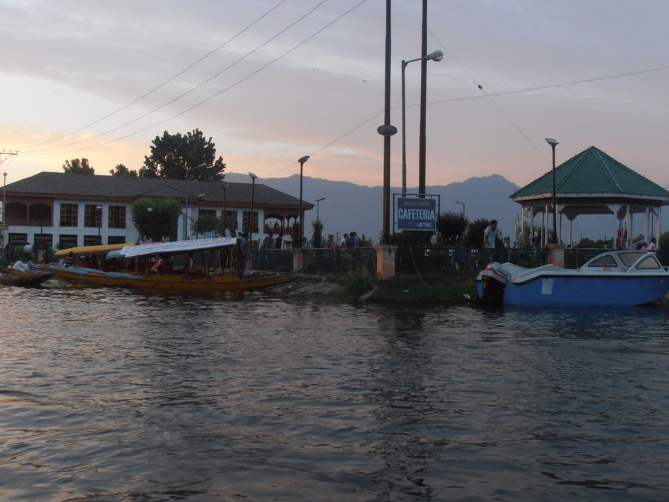 Photo of Trip to Kashmir by Archana Mattoo