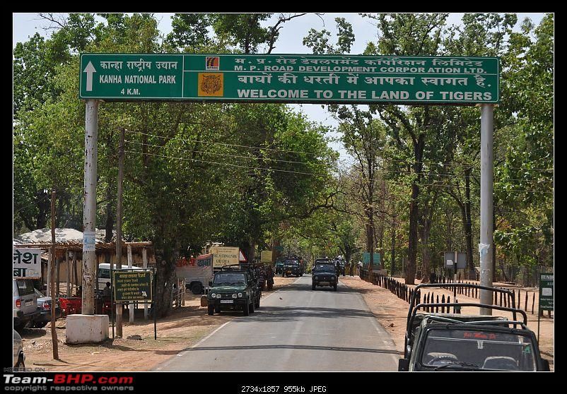 Photo of Best Time To Visit Kanha National Park 4/4 by Purvi