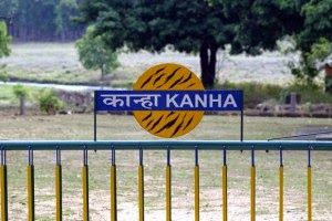 Photo of Best Time To Visit Kanha National Park 2/4 by Purvi