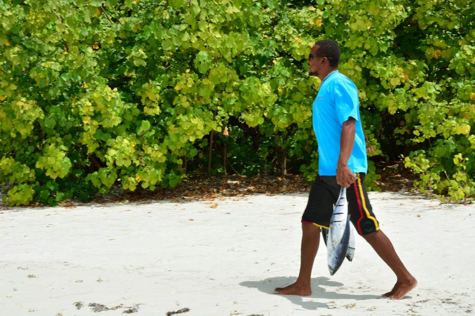Photo of Seychelles: Weekend in an island country 15/23 by Prakritesh Saha