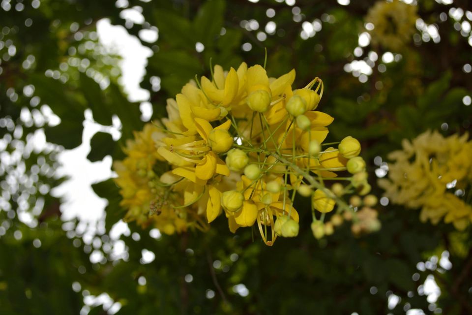 Photo of Seychelles: Weekend in an island country 4/23 by Prakritesh Saha