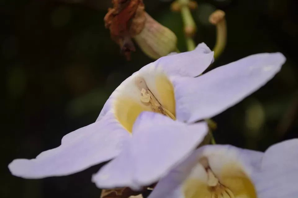 Photo of Mahé, Seychelles by Prakritesh Saha