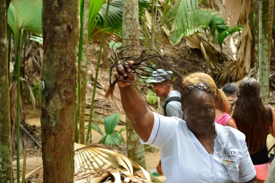 Photo of Praslin Island Airport, Grand Anse, Grand Anse Praslin, Seychelles by Prakritesh Saha
