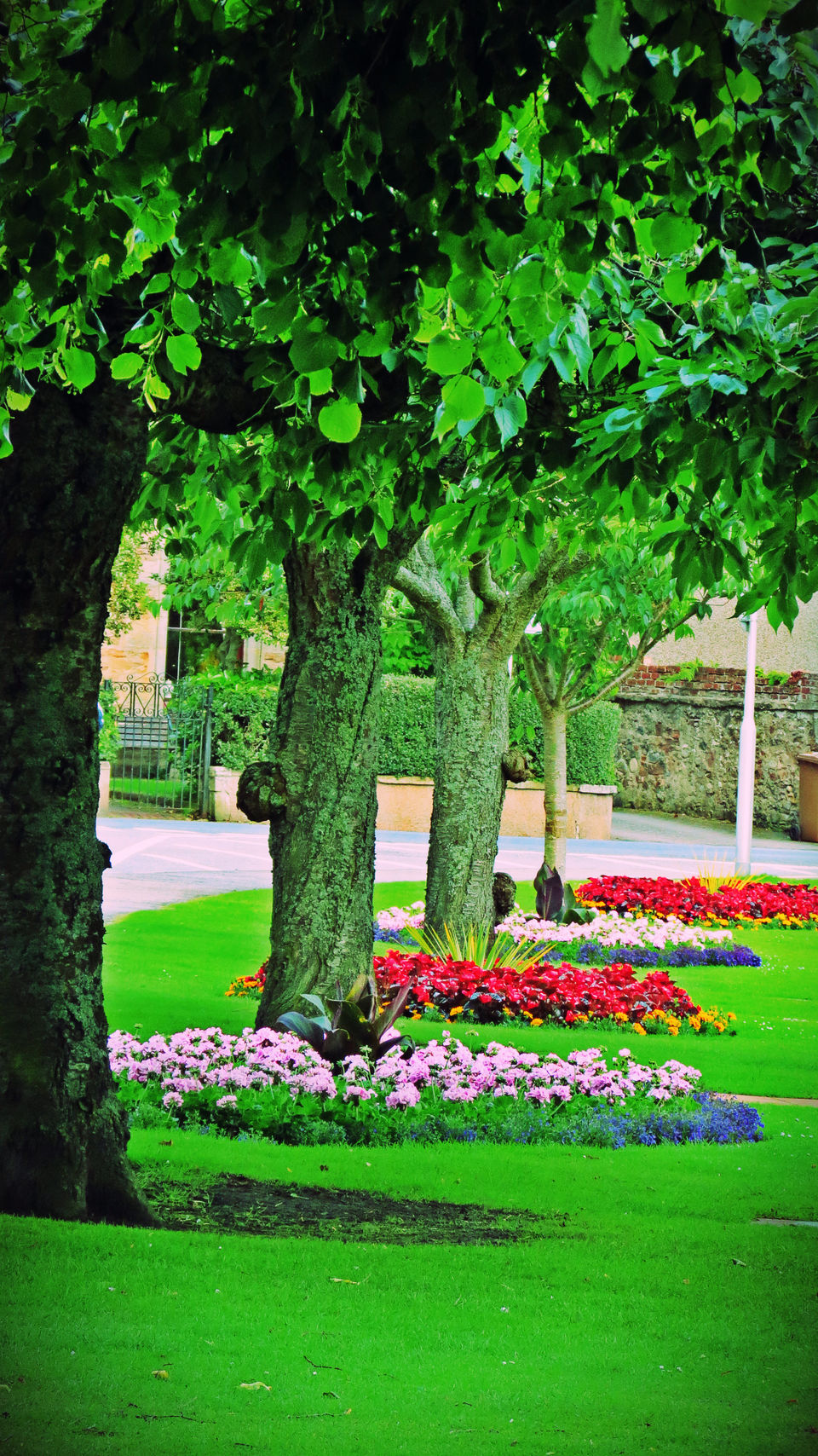 Photo of Romantic Scotland 13/19 by Nandy