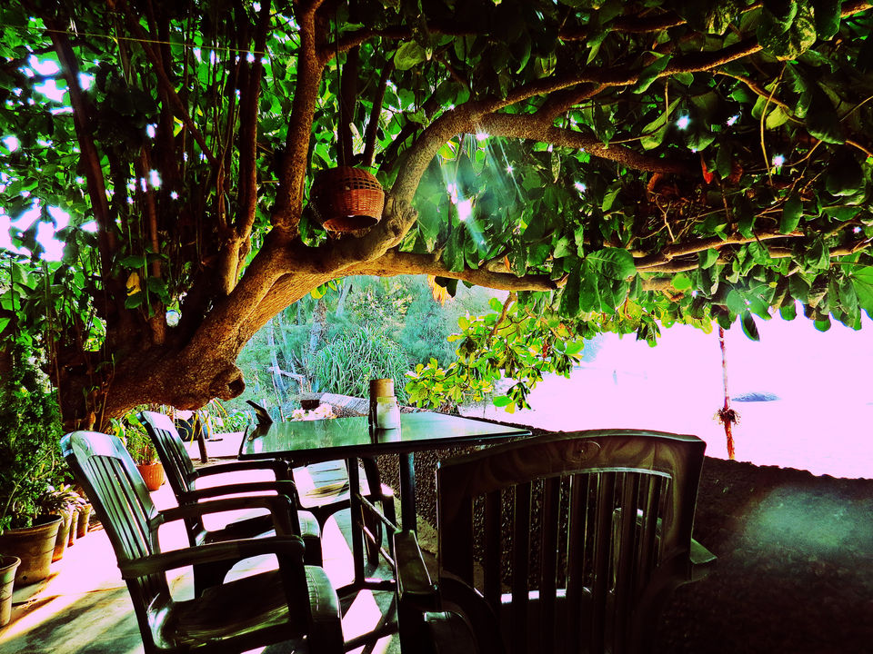 Photo of Blue Green Gokarna by Nandy