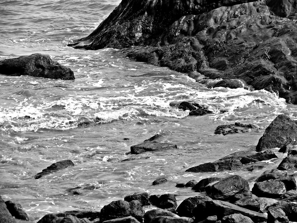 Photo of Blue Green Gokarna by Nandy