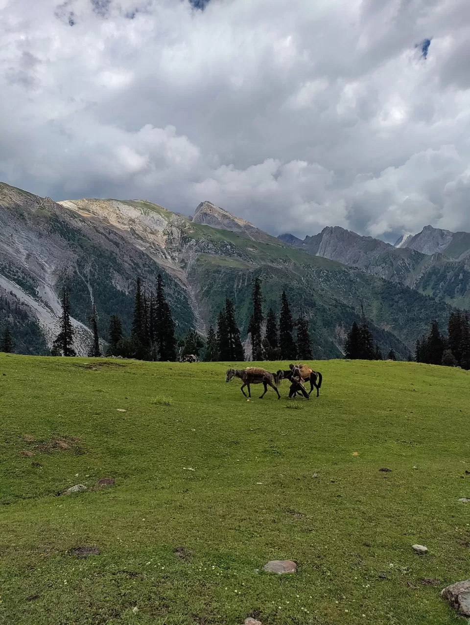 Photo of Kashmir Great Lakes Trek - The Deceptive by Divya Shirodkar