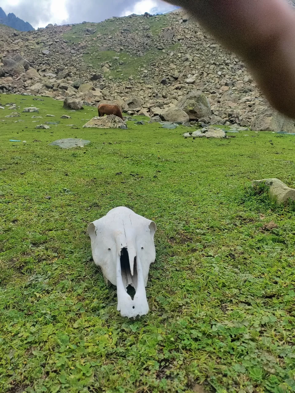 Photo of Kashmir Great Lakes Trek - The Deceptive by Divya Shirodkar