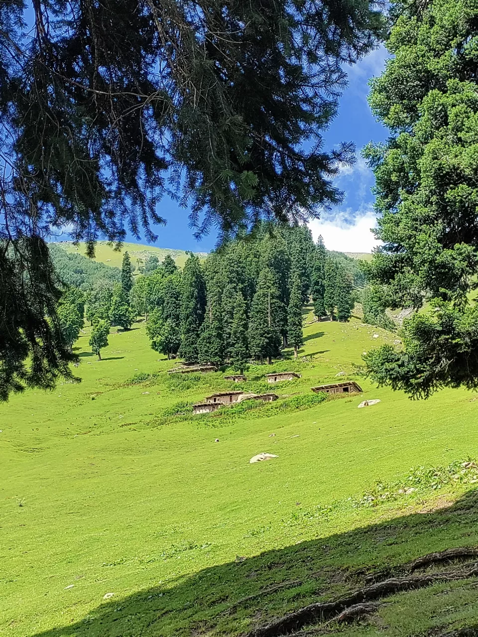 Photo of Kashmir Great Lakes Trek - The Deceptive by Divya Shirodkar
