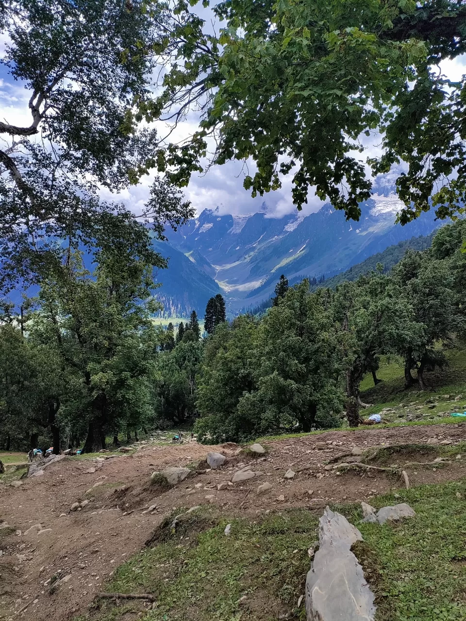 Photo of Kashmir Great Lakes Trek - The Deceptive by Divya Shirodkar