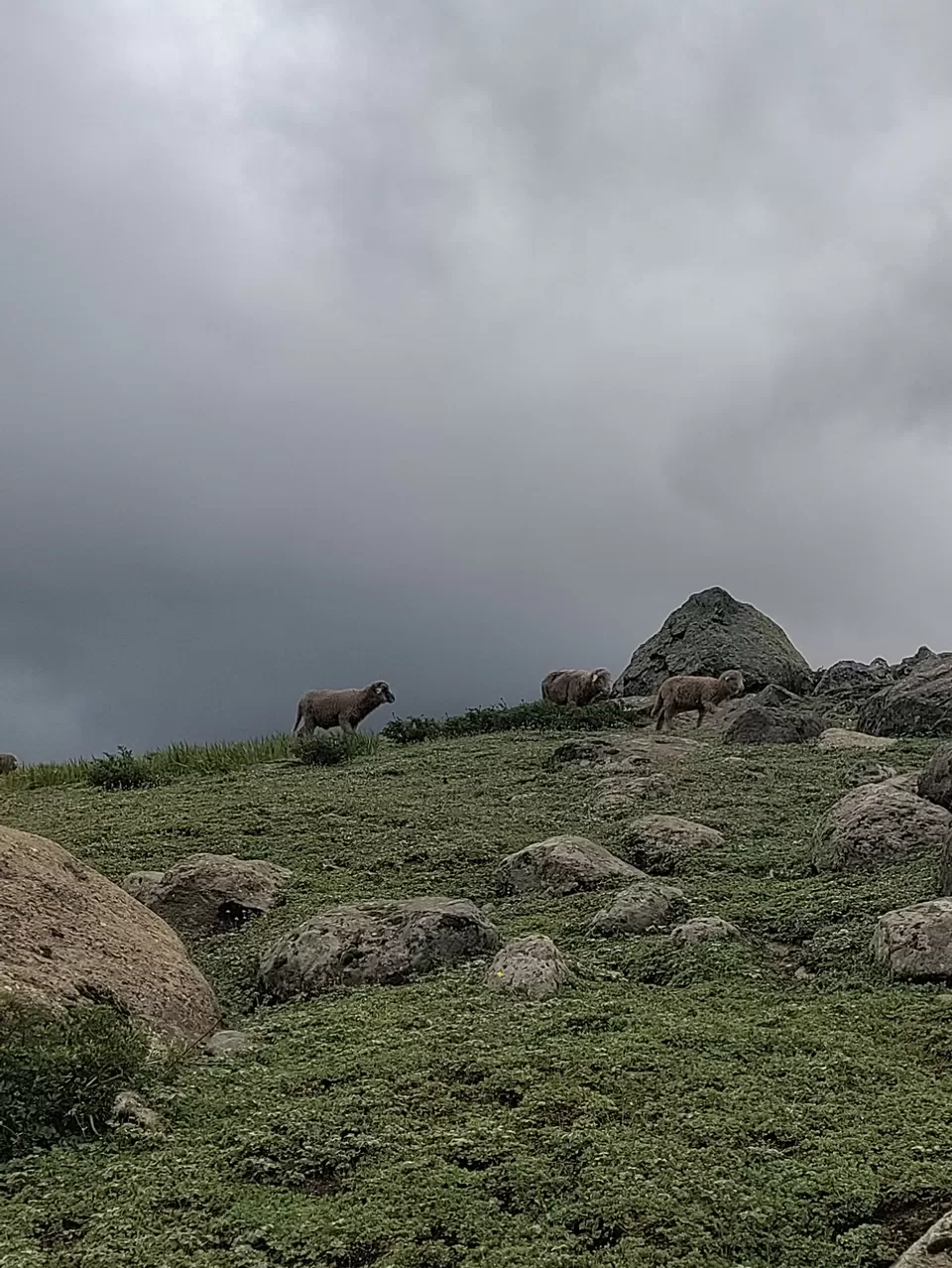 Photo of Kashmir Great Lakes Trek - The Deceptive by Divya Shirodkar