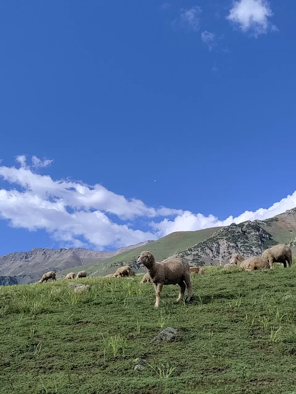 Photo of Kashmir Great Lakes Trek - The Deceptive by Divya Shirodkar