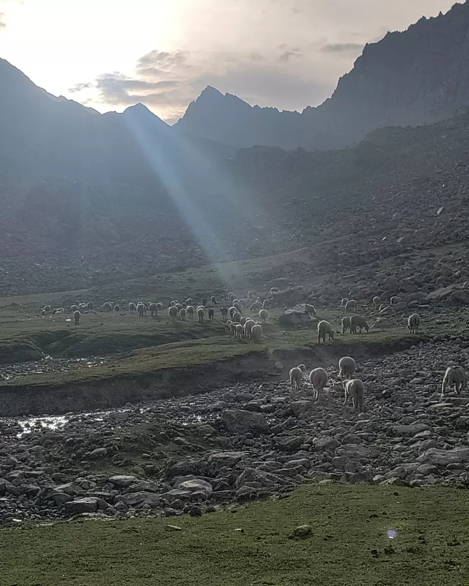 Photo of Kashmir Great Lakes Trek - The Deceptive by Divya Shirodkar