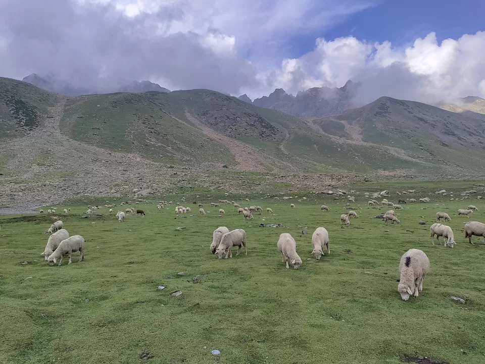 Photo of Kashmir Great Lakes Trek - The Deceptive by Divya Shirodkar