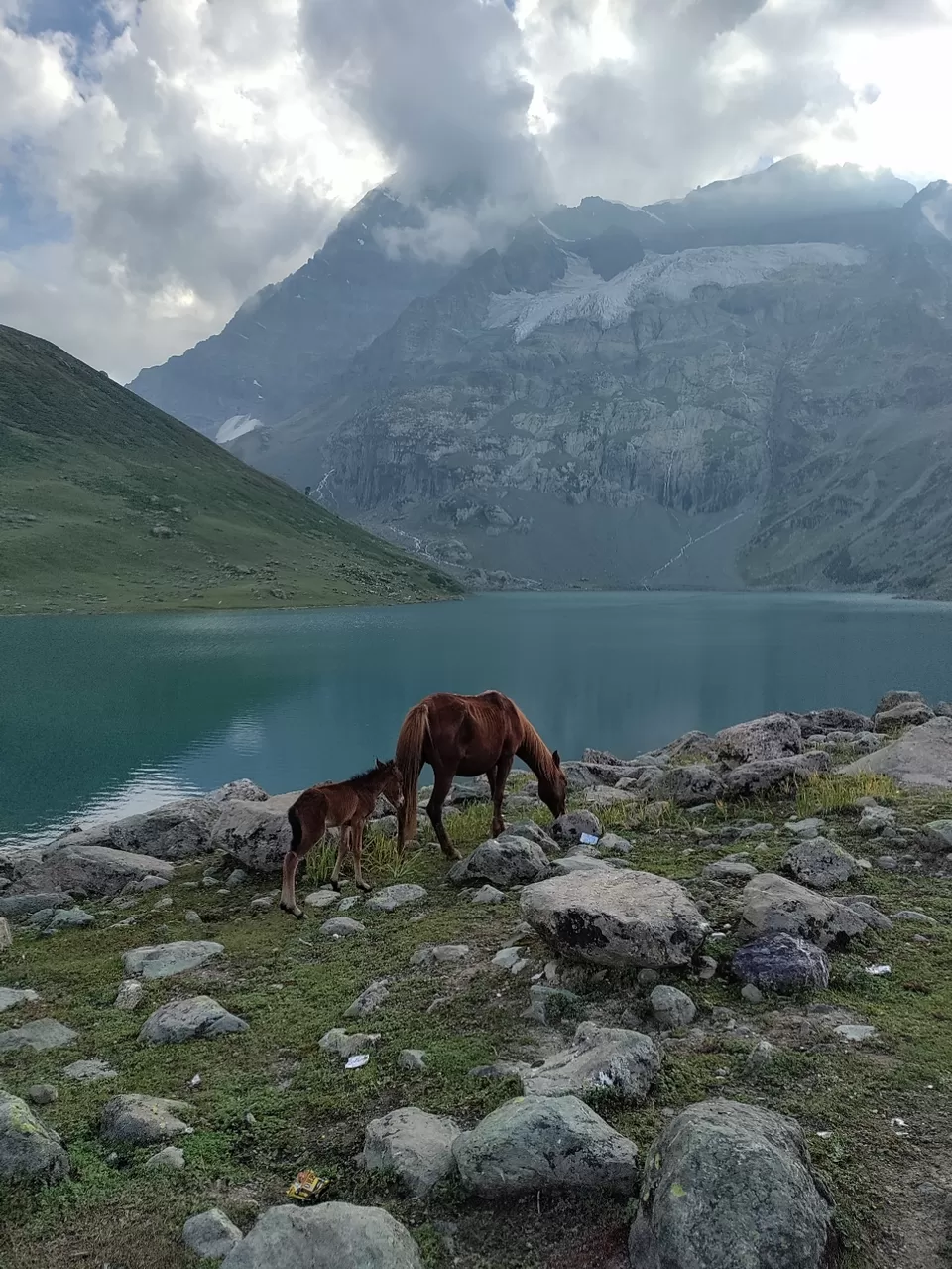 Photo of Kashmir Great Lakes Trek - The Deceptive by Divya Shirodkar