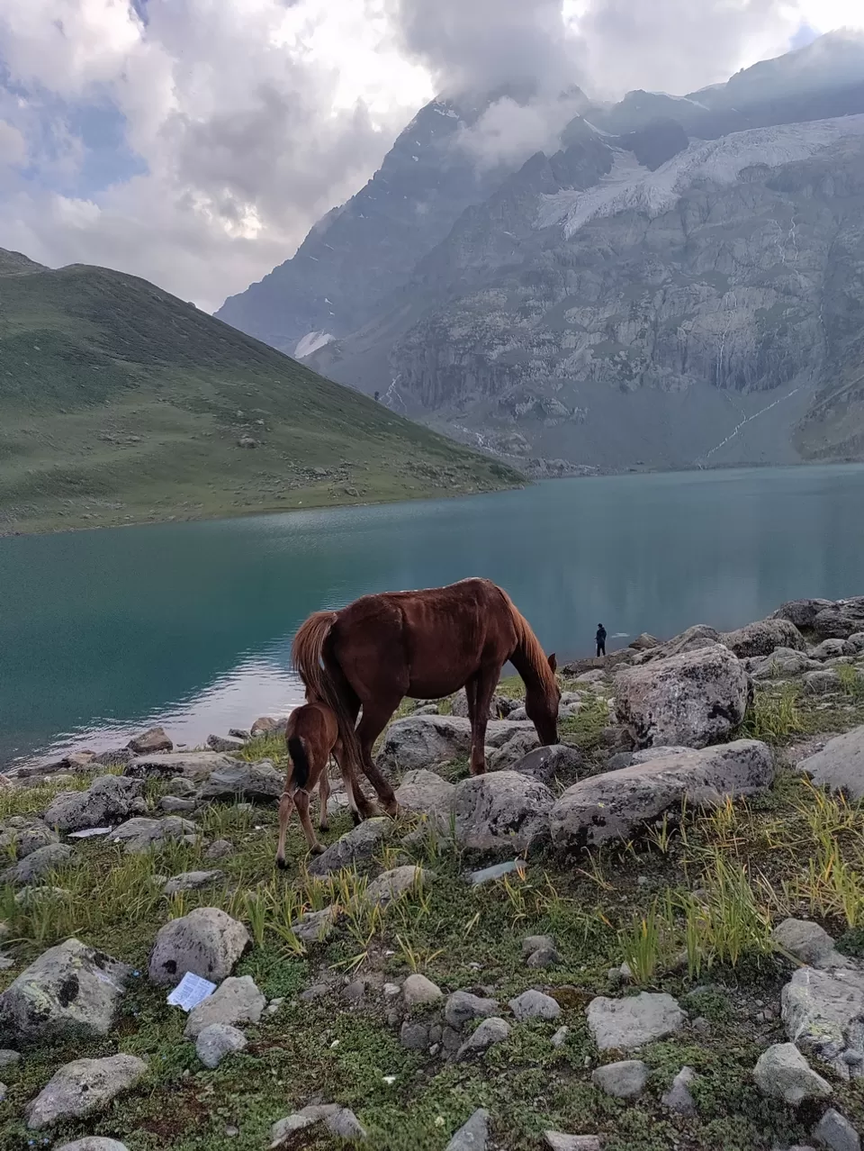 Photo of Kashmir Great Lakes Trek - The Deceptive by Divya Shirodkar