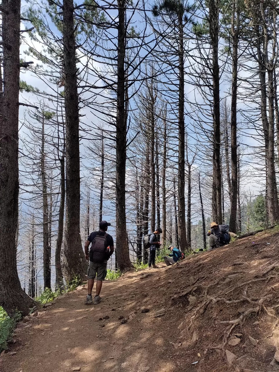 Photo of Kashmir Great Lakes Trek - The Deceptive by Divya Shirodkar
