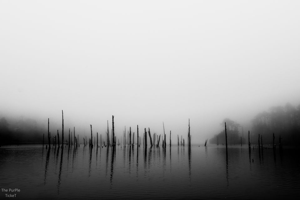 Photo of Sangetsar Lake by Divya Shirodkar