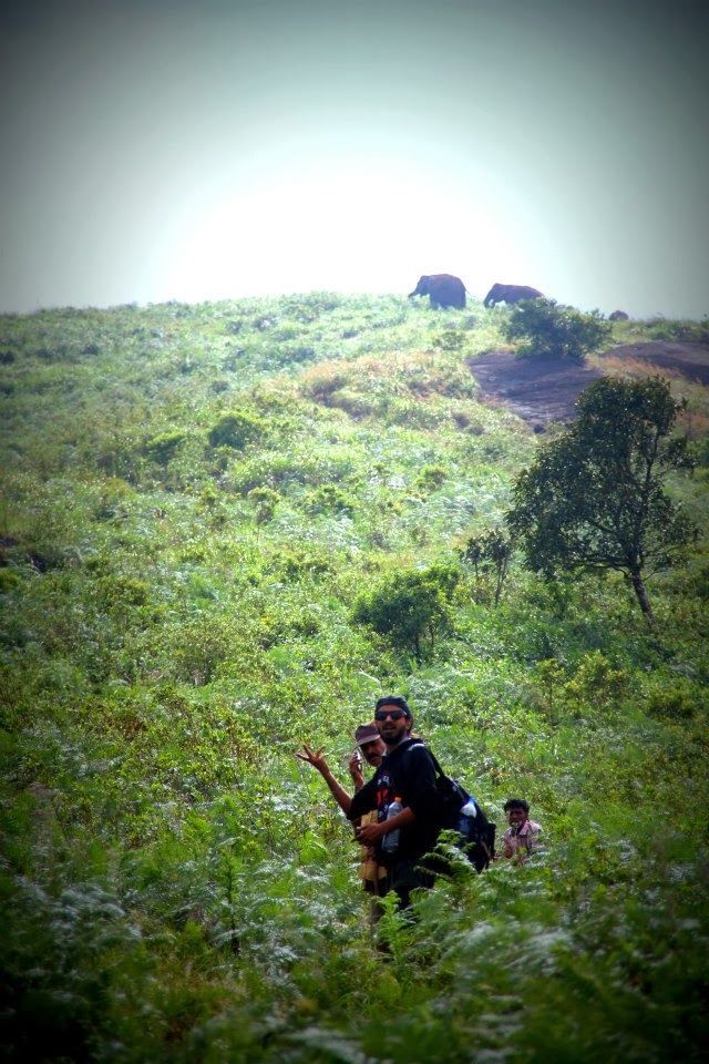 Photo of Trekking to the Brahmagiris 5/5 by Divya Shirodkar