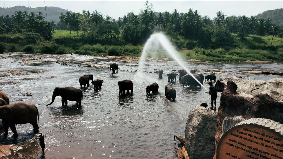 Photo of Prodigious Lanka- Truly the Wonder of Asia by Swagata Abhro Sarkar