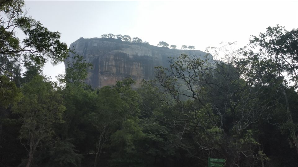 Photo of Prodigious Lanka- Truly the Wonder of Asia by Swagata Abhro Sarkar