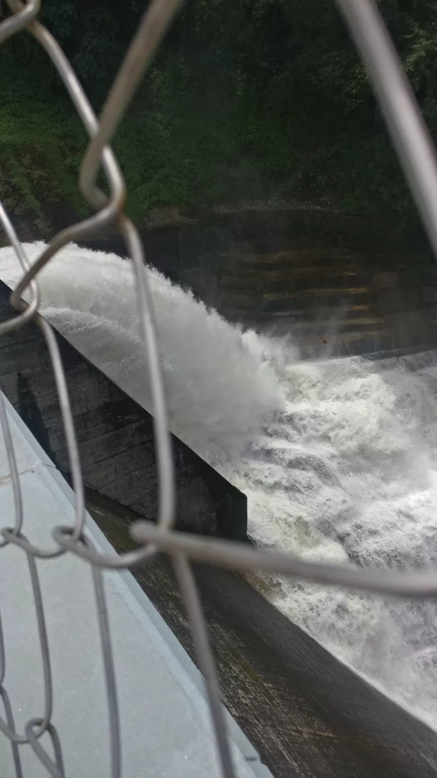 Photo of Mattupetty Dam, Mattupetty, Kerala, India by Shruti Patil