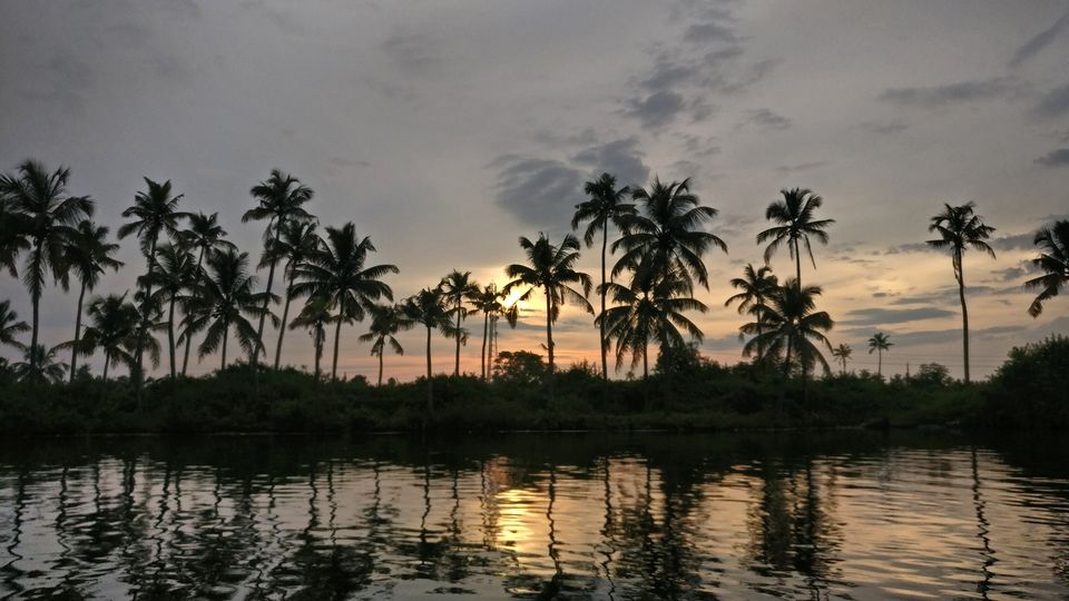 Photo of Our South Indian Adventure- Captivating Kerala! A trip through Varkala, Alleppey and Munnar by Shruti Patil