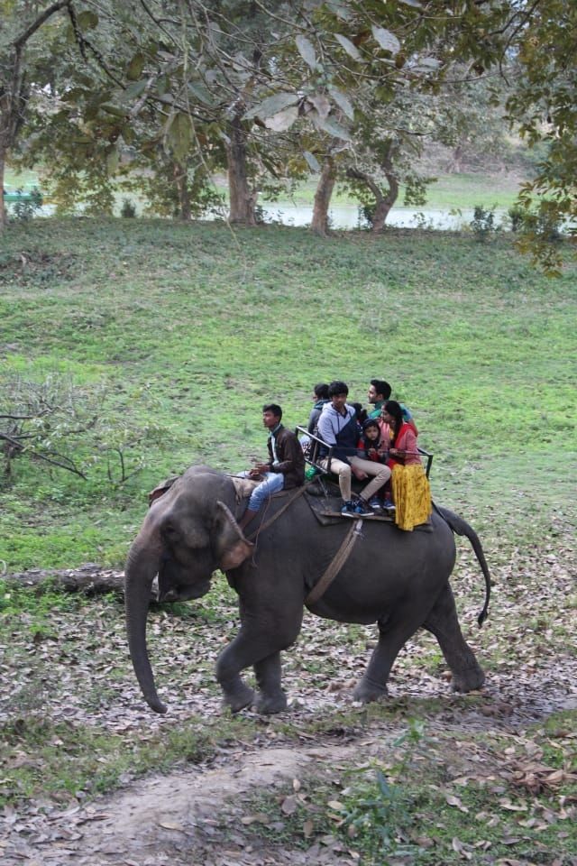 Photo of Kaziranga National Park, Golaghat, Assam, India by Joshi KJ