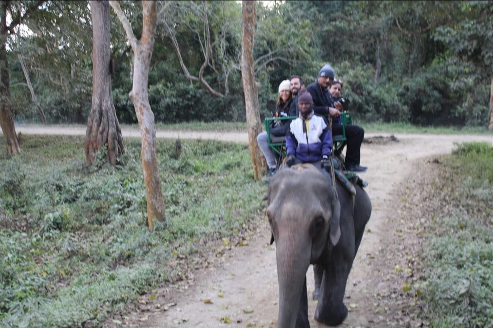 Photo of Kaziranga National Park, Golaghat, Assam, India by Joshi KJ