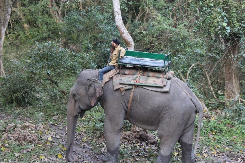 Photo of Kaziranga National Park, Golaghat, Assam, India by Joshi KJ