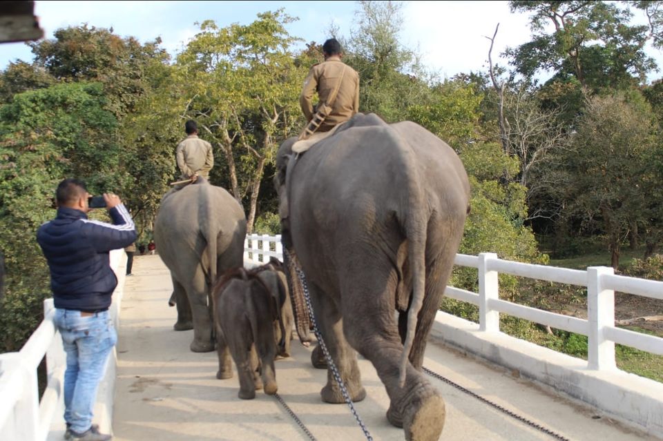 Photo of Kaziranga National Park, Golaghat, Assam, India by Joshi KJ