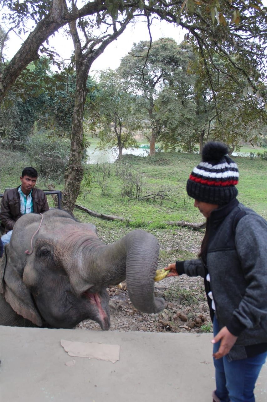 Photo of Kaziranga National Park, Golaghat, Assam, India by Joshi KJ