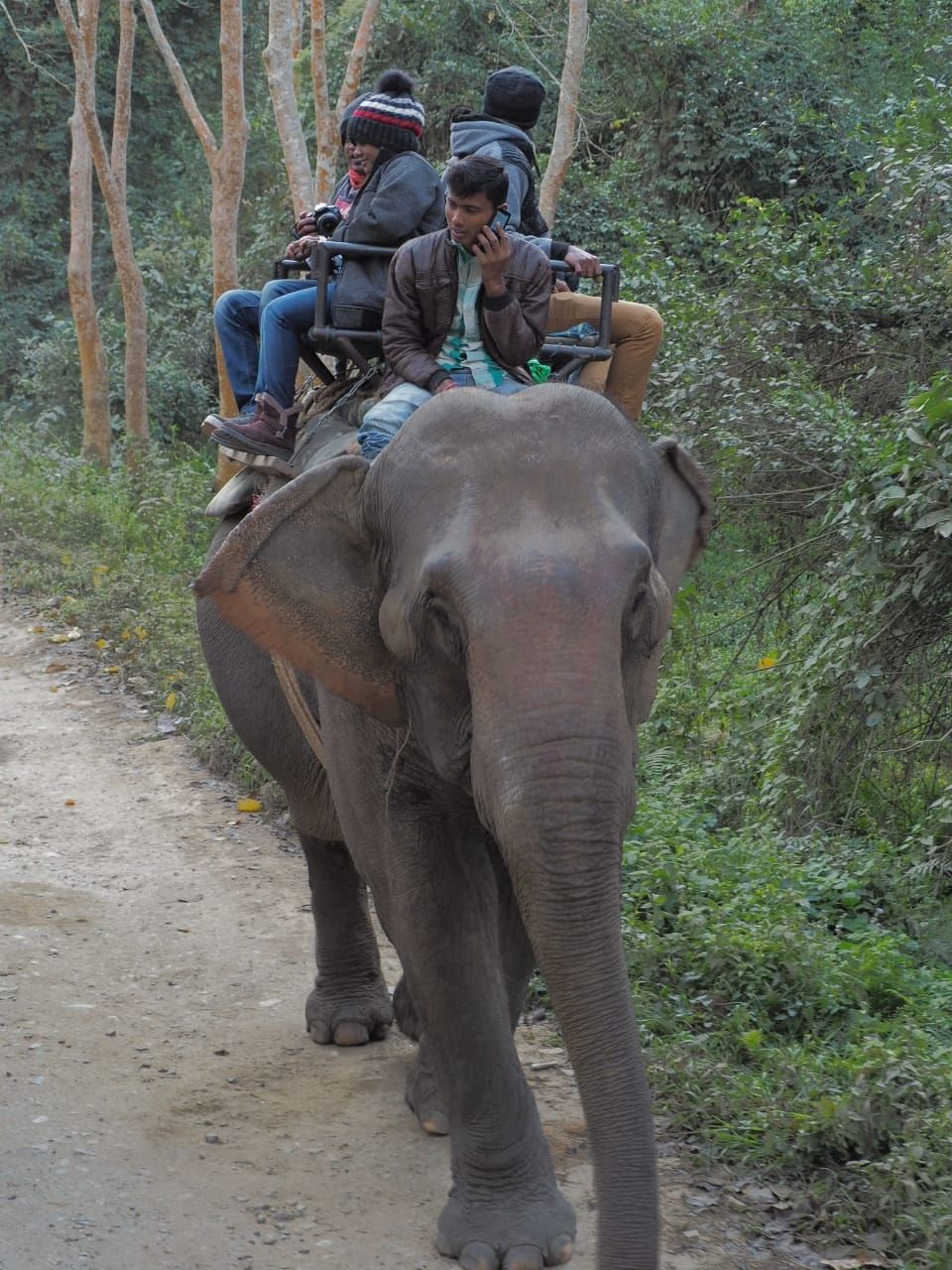 Photo of Kaziranga National Park, Golaghat, Assam, India by Joshi KJ