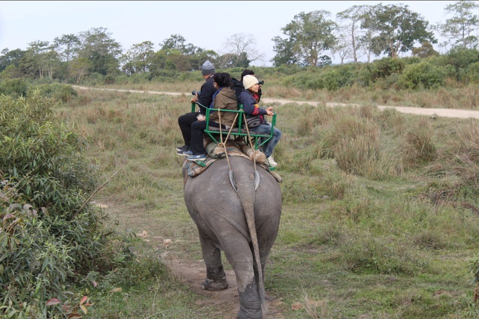 Photo of Kaziranga National Park, Golaghat, Assam, India by Joshi KJ
