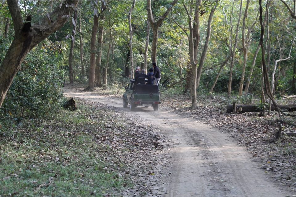 Photo of Kaziranga National Park, Golaghat, Assam, India by Joshi KJ