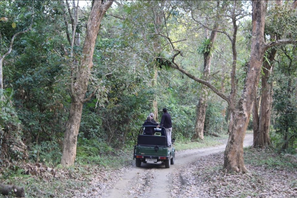 Photo of Kaziranga National Park, Golaghat, Assam, India by Joshi KJ