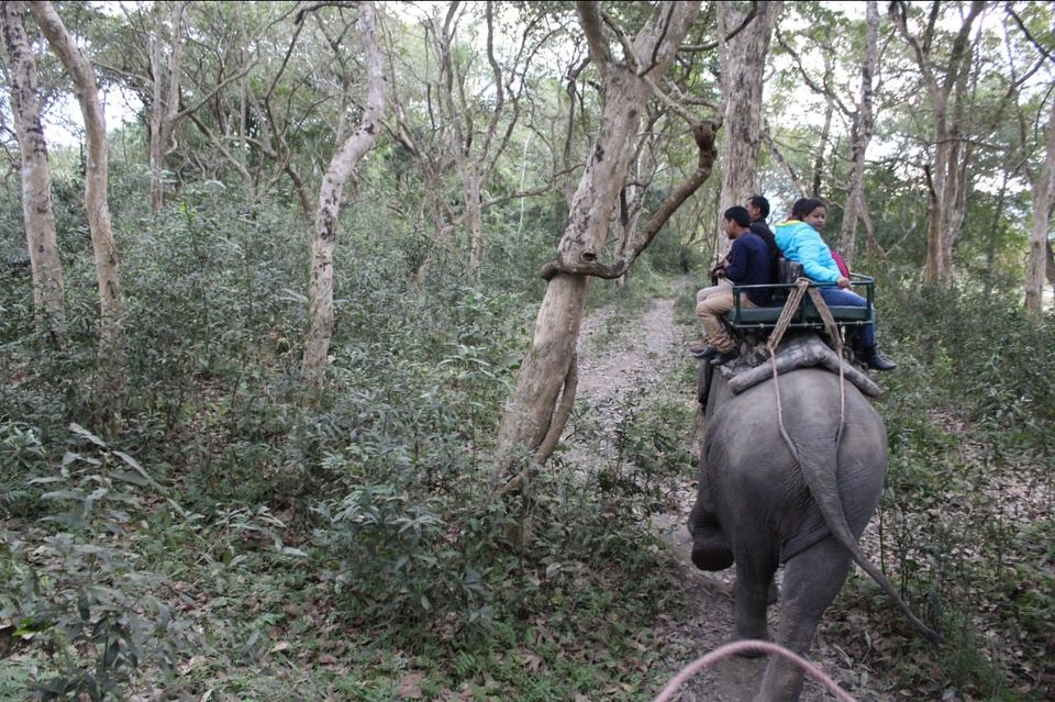 Photo of Kaziranga National Park, Golaghat, Assam, India by Joshi KJ