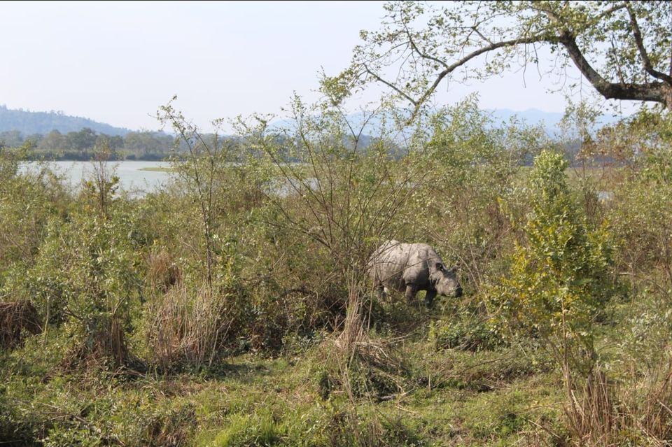 Photo of Kaziranga National Park, Golaghat, Assam, India by Joshi KJ