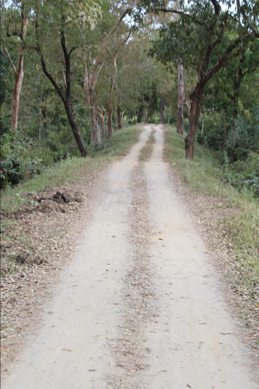 Photo of Kaziranga National Park, Golaghat, Assam, India by Joshi KJ