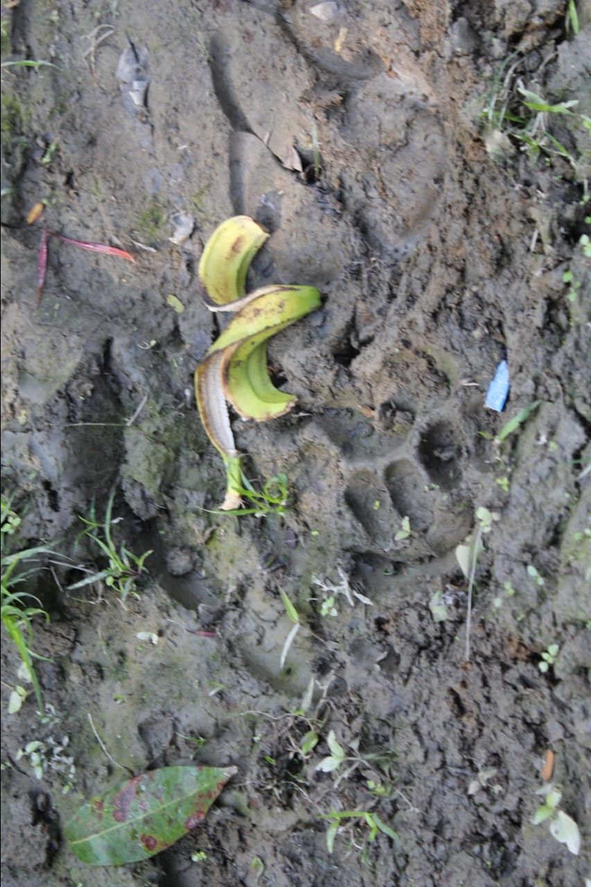 Photo of Kaziranga National Park, Golaghat, Assam, India by Joshi KJ